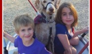 10 Heartwarming stories of autism assistance dogs & kids