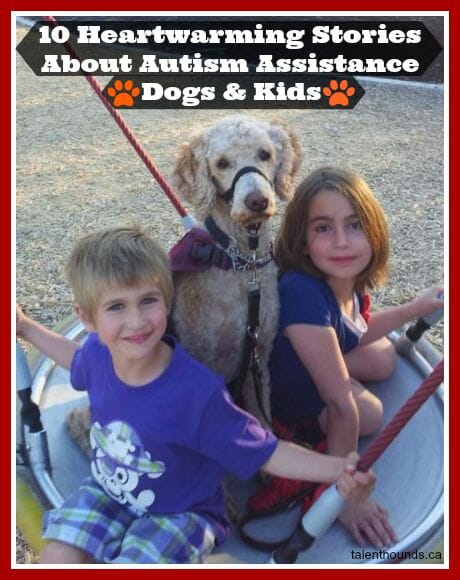 10 Heartwarming stories of autism assistance dogs & kids