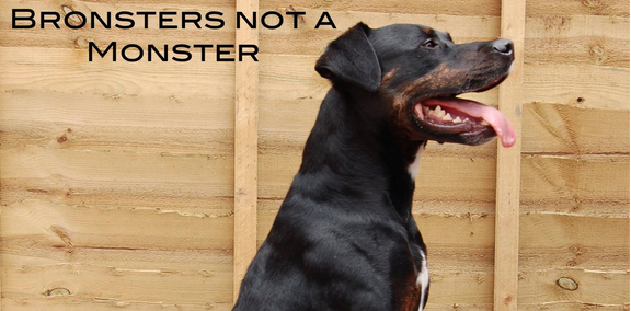 Bronsters not a monster