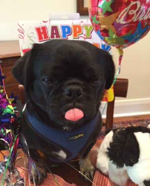 Kilo not happy TOT