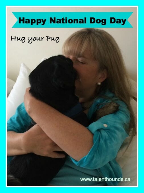 Susie and Kilo - pug hug on National Dog Day