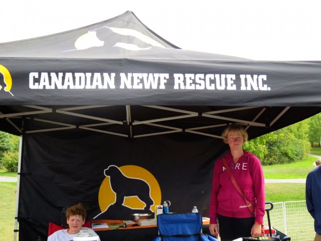 canadian newf rescue inc. tent at woofstock