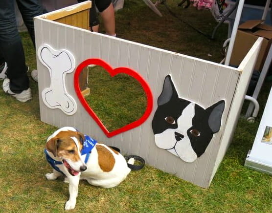 i heart boston terrier's sign