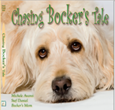 Chasing Bocker's Tale book cover