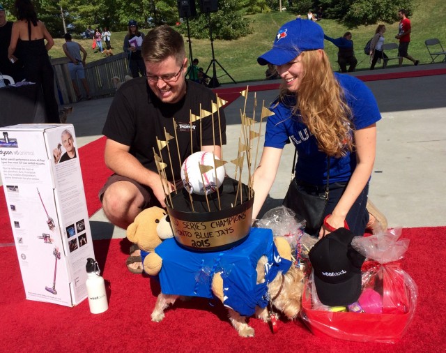 costume contest winner- go Blue Jays