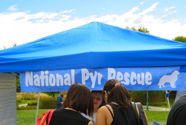 national pyr rescue tent 