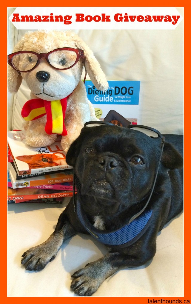 kilo with books - amazing book giveaway pin