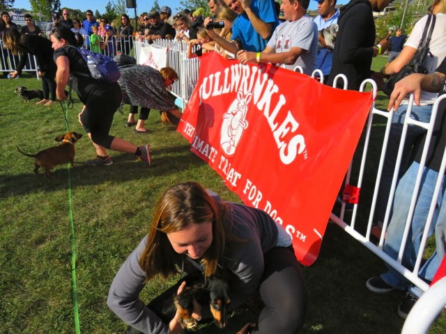 Wiener races