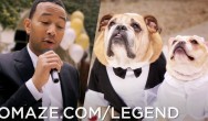 John Legend Fundraising for Animal Rescues and Shelters