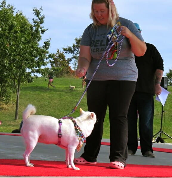 white dog and Michelle