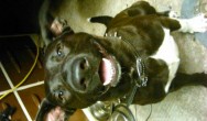 roscoe