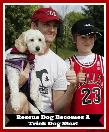 Rescue Dog Mercy Is A Trick Dog Star!