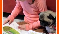 little girl reads to therapy pug