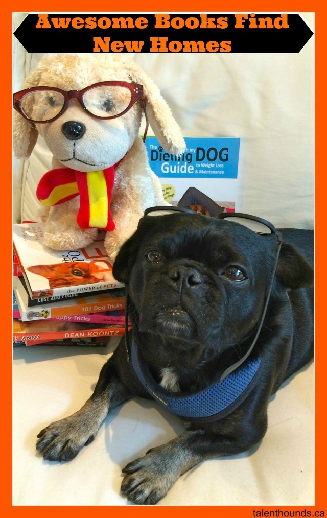 kilo the pug poses with books