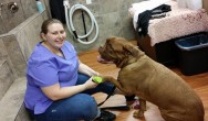 Sandra Gabriel and Yukki pose while trimming dogs nails