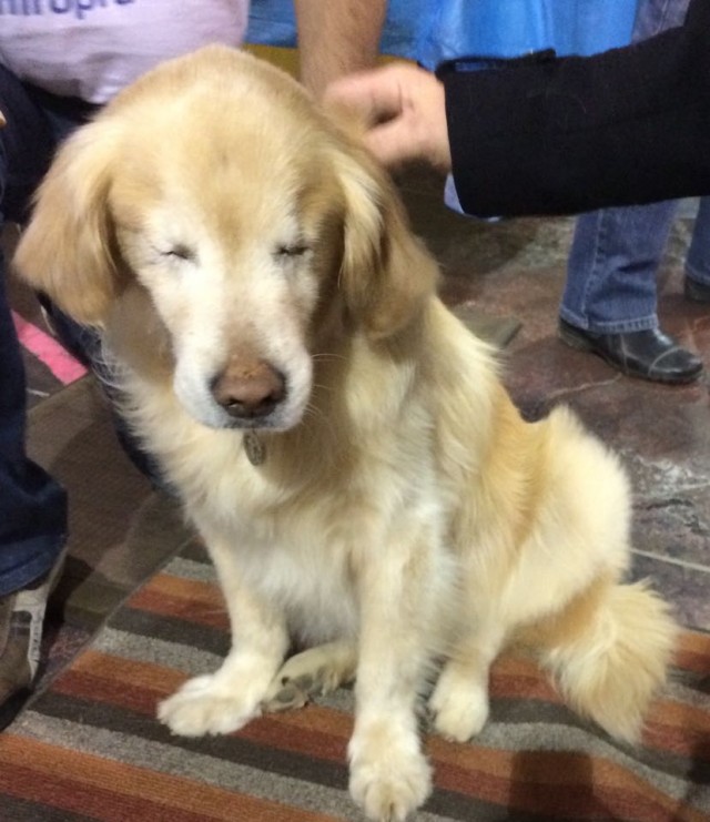 smiley sitting