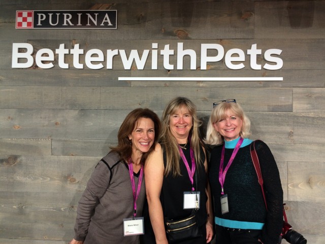 Diane (To Dog With Love), Susie (Talent Hounds) and Paris (Dog Tipper) at the #BetterWithPets Summit