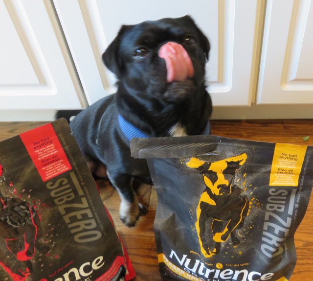 Kilo Licking his lips for Nutrience