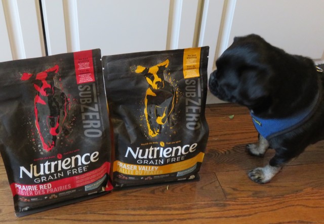 Kilo investigates new Nutrience