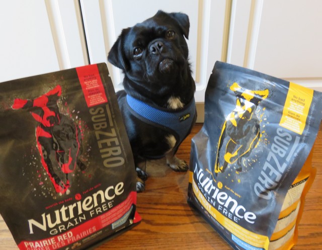 Kilo posing with new Nutrience #SubZeroDifference 