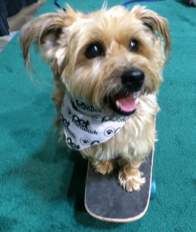 Linzy #TongueOutTuesday on skateboard