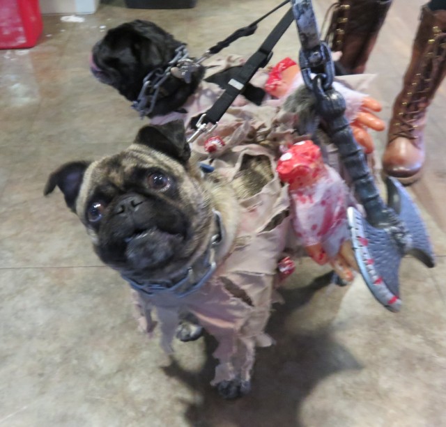 Zombie Pugs