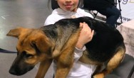 girl holds her puppy dog