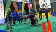 Canadian Pet Expo