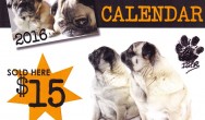igor the pug dog and stella calendar for PugALug