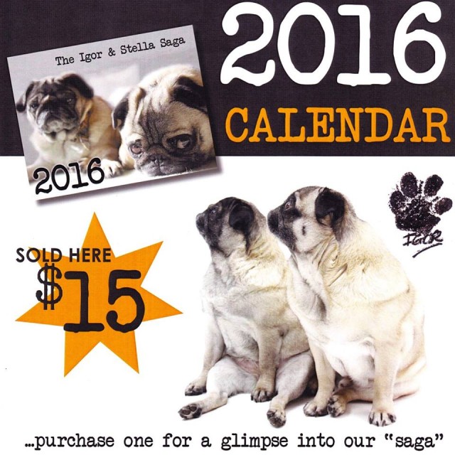 igor the pug dog and stella calendar for PugALug