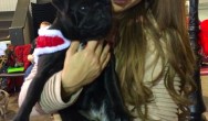 Kilo the Pug poses with girl