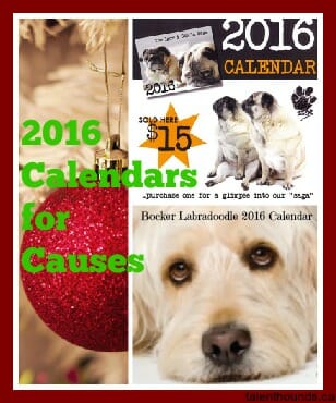 2016 Calendars for Causes