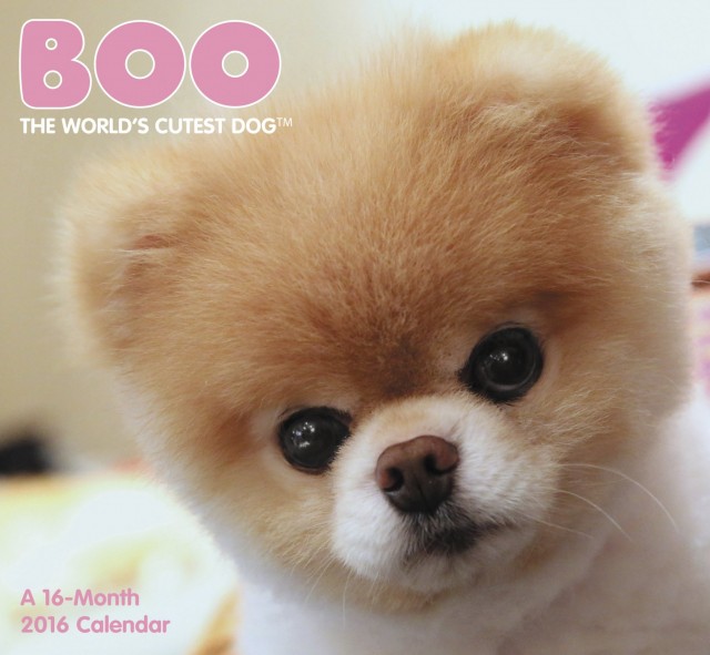 Boo calendar