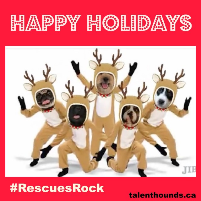 Happy Holidays - video dogs dancing to Macarena