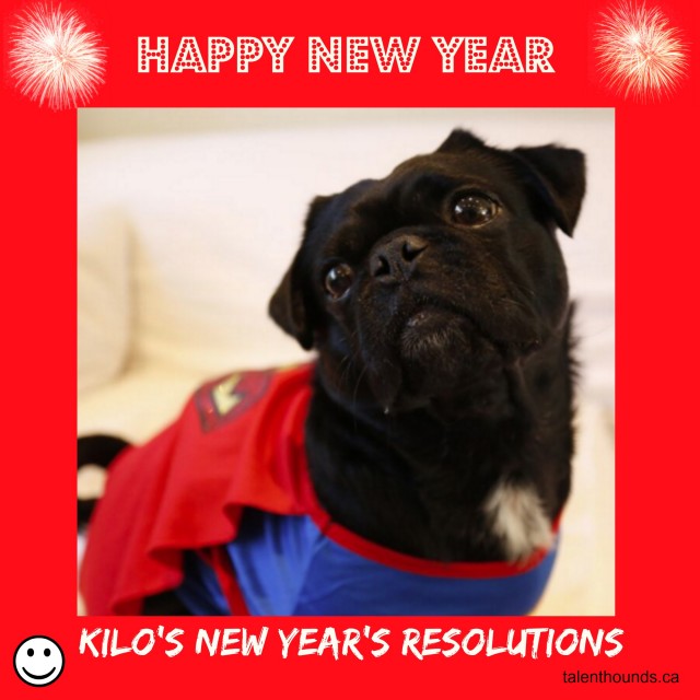 Happy New Year from Kilo
