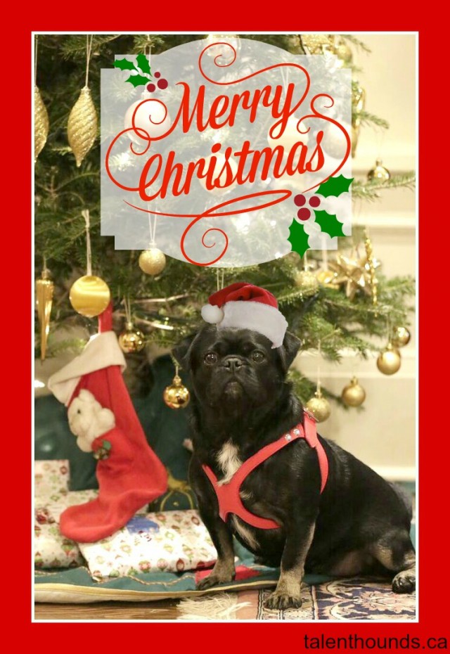 Kilo- Christmas Card