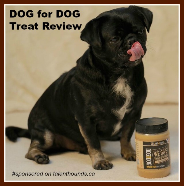 Kilo and DOG for DOG DOGSBUTTER Treat Review