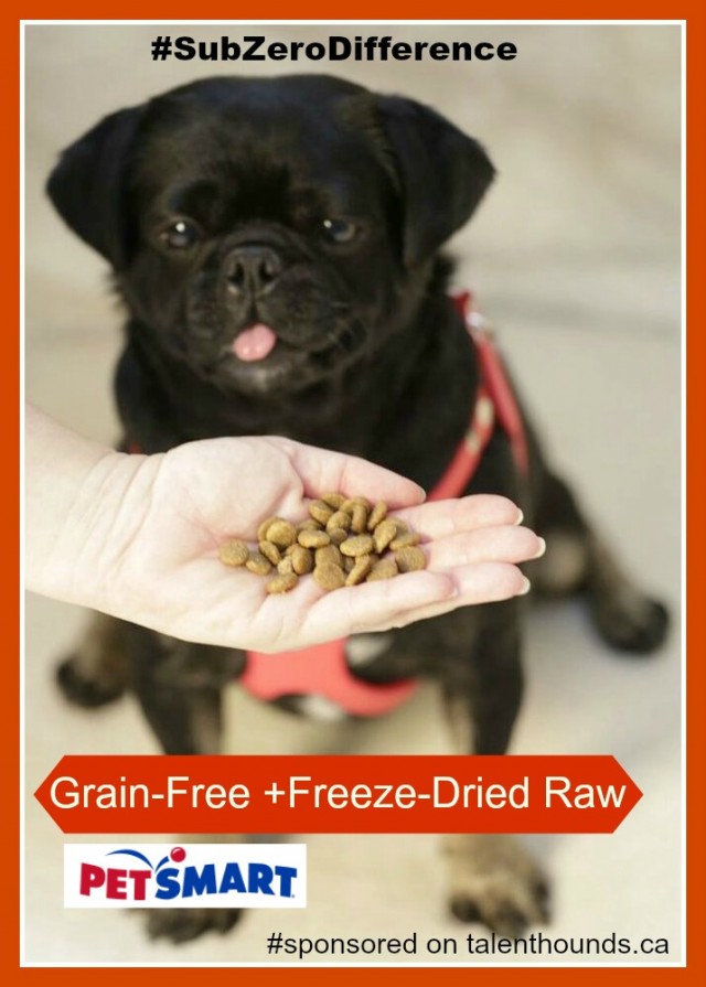Kilo and new Nutrience Subzero. Grain-Free +Freeze-Dried Raw = #SubZeroDifference