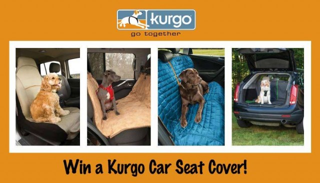 Kurgo Car Seat Cover Contest banner showing 4 different types of Car Seat Covers