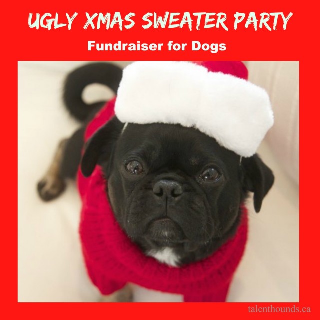 Ugly Christmas Sweater Party with Kilo for Charity