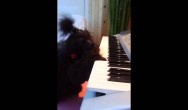 Mia Millionaire practising ‘wish you a merry christmas’ on piano
