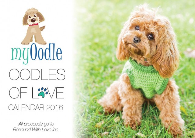 web-2016-oodle-calendar-front