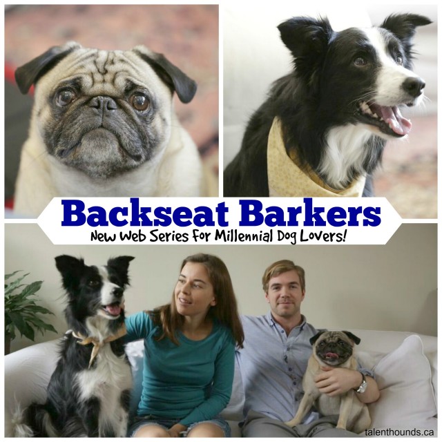 Backseat Barkers collage featuring the stars fishstick, lottie, sophie and huh