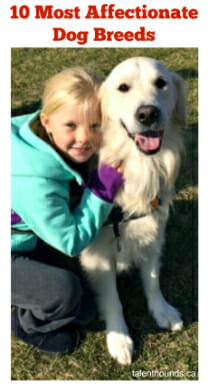 Little Girl Hugs her Golden Retriever Dog at Dog Lovers Days