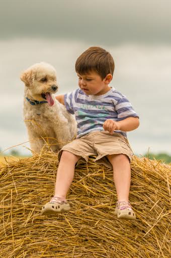 Henry sits with boy on haystack