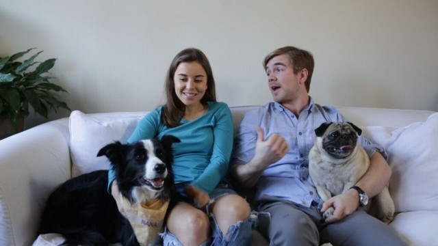 Lotties, Sophie, Hugh and fishstick sitting on the couch