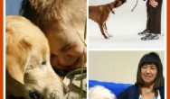 7 Best Dog Breeds If You Are Fighting Depression or Anxiety collage