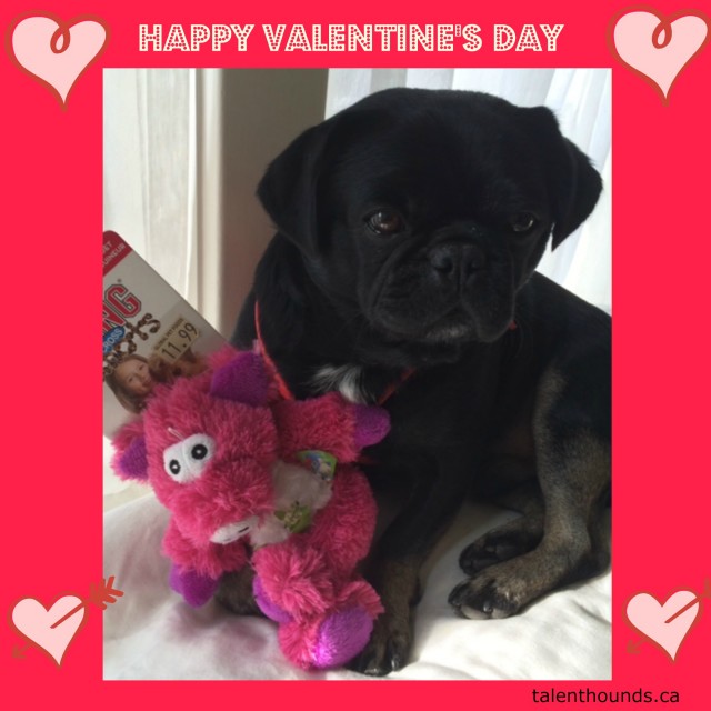 Kilo Happy Valentine's Day Pic