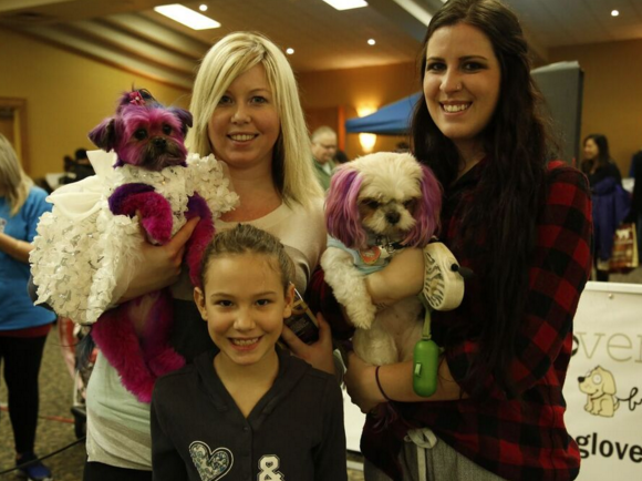 dog lovers days fashion show winners