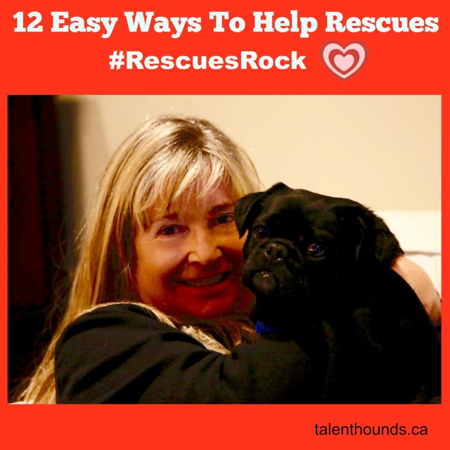 Talent Hounds 12 Easy Ways to Help Rescues Photo of Susie and Kilo the Pug